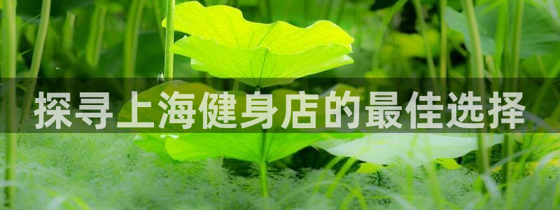 意昂2官网