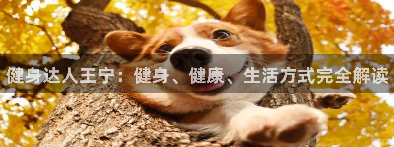 意昂2官网