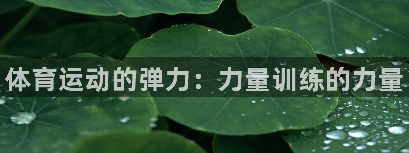 oety欧亿