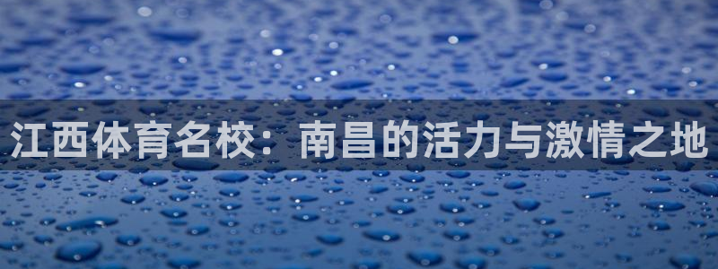 oety欧亿