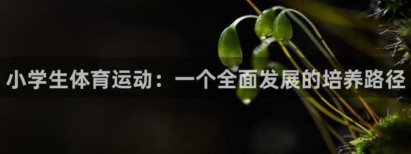 oety欧亿