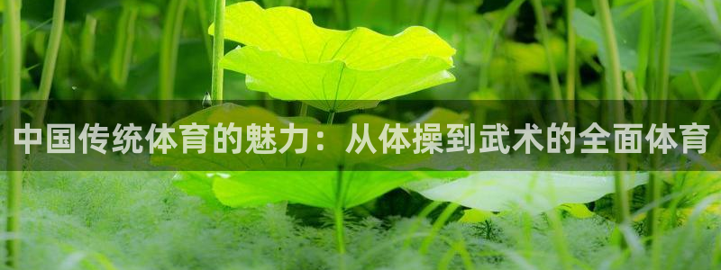 oety欧亿