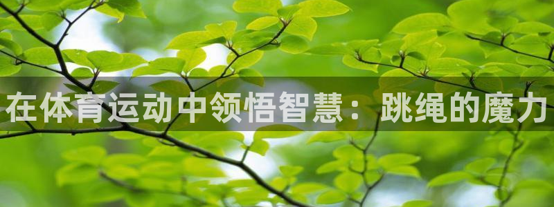 oety欧亿