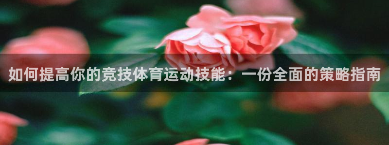 oety欧亿