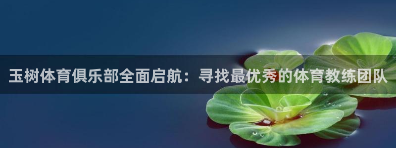 oety欧亿