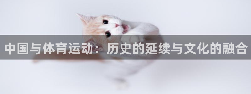 oety欧亿