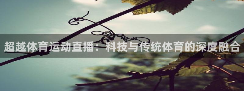 oety欧亿