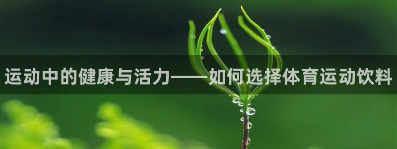 oety欧亿