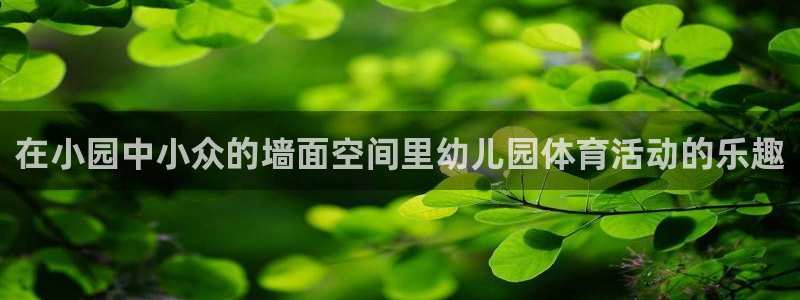 oety欧亿