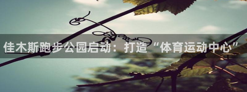 oety欧亿