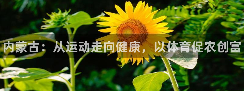 oety欧亿