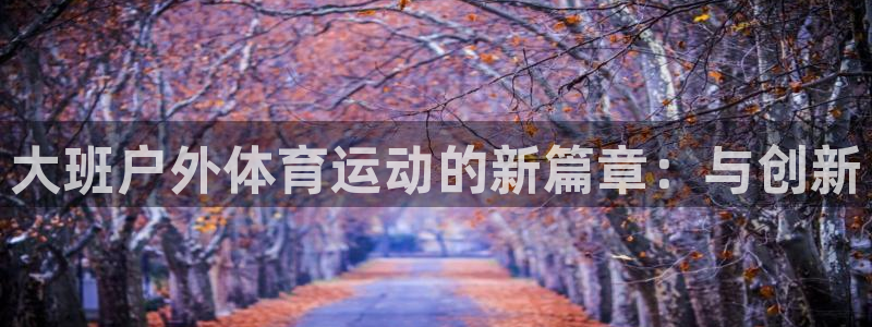 oety欧亿