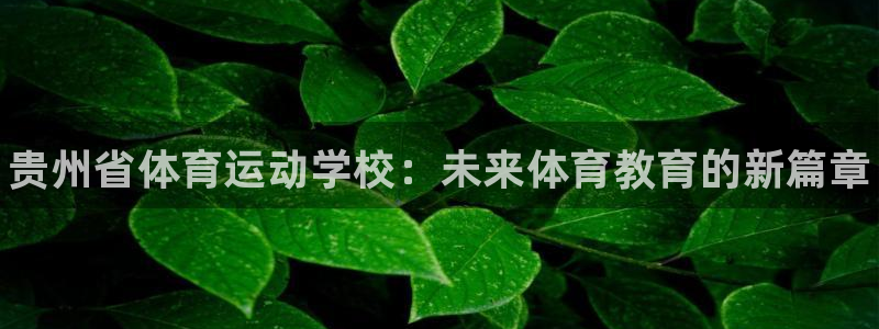 oety欧亿