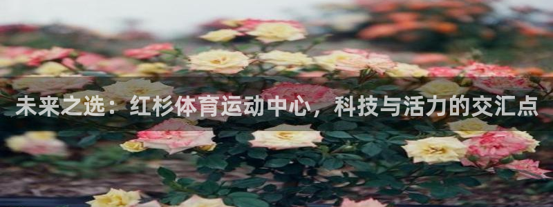oety欧亿
