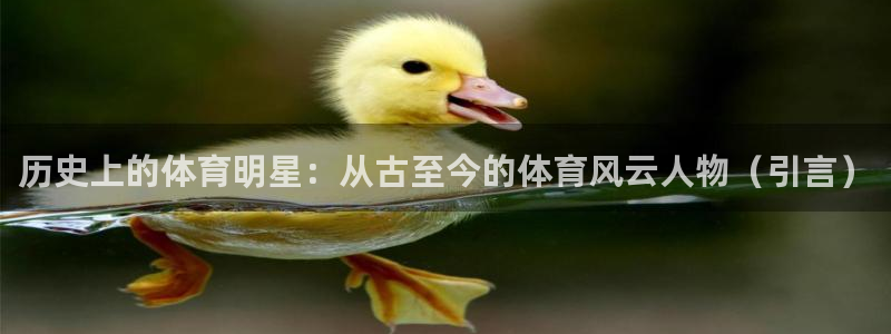oety欧亿