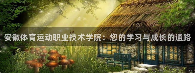 oety欧亿