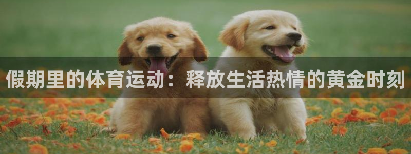 oety欧亿