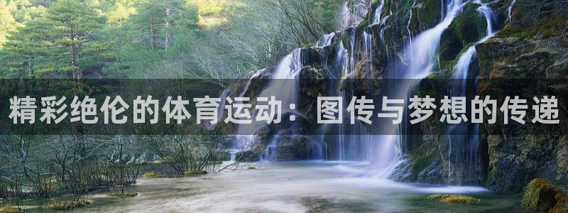 oety欧亿